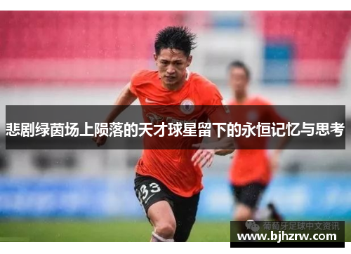 悲剧绿茵场上陨落的天才球星留下的永恒记忆与思考